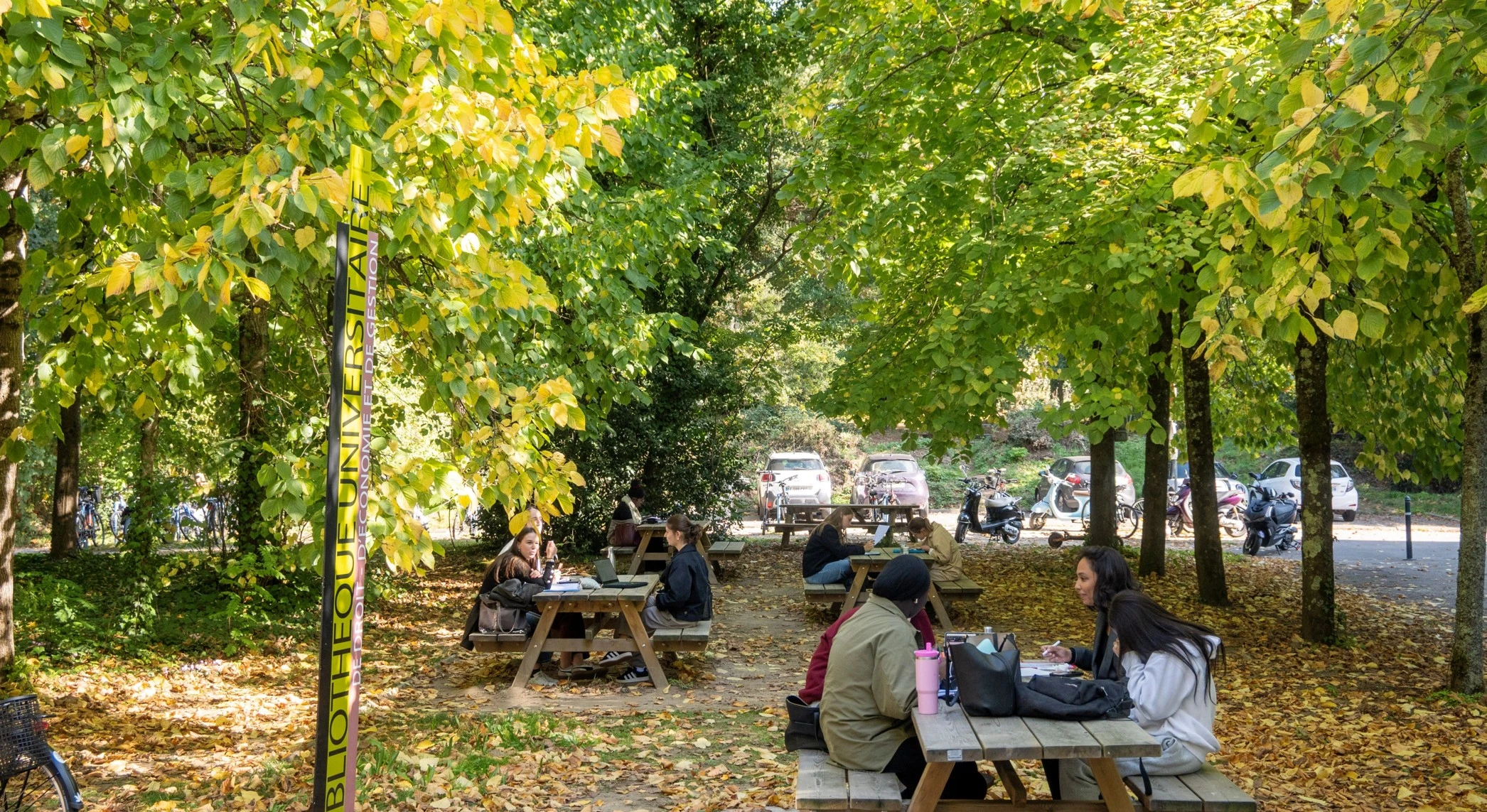 Le Bilan d'activité du Pôle !